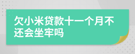 欠小米贷款十一个月不还会坐牢吗