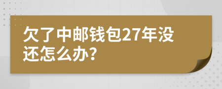 欠了中邮钱包27年没还怎么办？