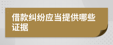 借款纠纷应当提供哪些证据