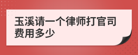 玉溪请一个律师打官司费用多少