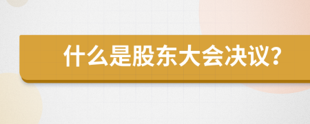 什么是股东大会决议？