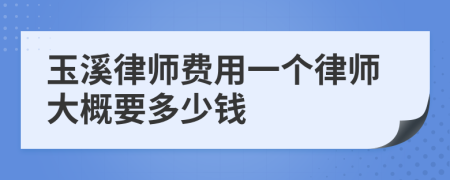 玉溪律师费用一个律师大概要多少钱