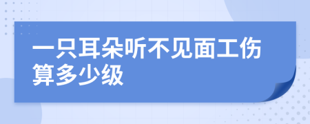 一只耳朵听不见面工伤算多少级