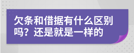欠条和借据有什么区别吗？还是就是一样的