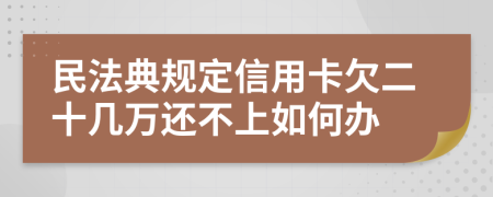 民法典规定信用卡欠二十几万还不上如何办