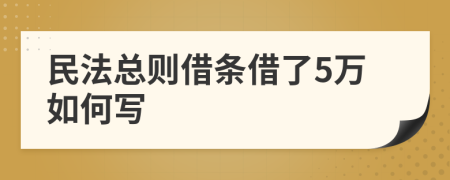 民法总则借条借了5万如何写