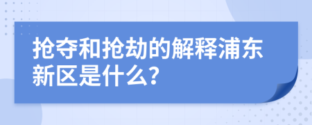 抢夺和抢劫的解释浦东新区是什么？