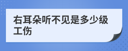 右耳朵听不见是多少级工伤