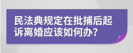 民法典规定在批捕后起诉离婚应该如何办？