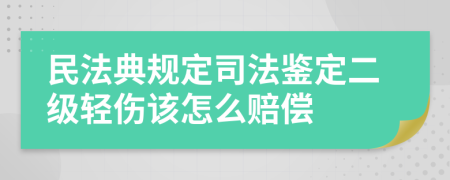 民法典规定司法鉴定二级轻伤该怎么赔偿