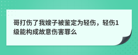 哥打伤了我嫂子被鉴定为轻伤，轻伤1级能构成故意伤害罪么
