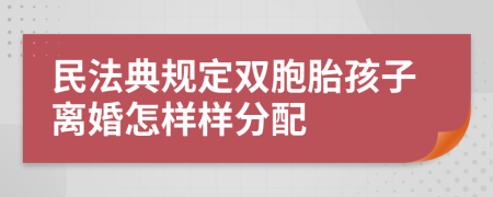 民法典规定双胞胎孩子离婚怎样样分配