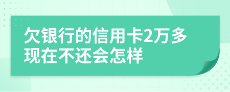 欠银行的信用卡2万多现在不还会怎样