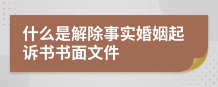 什么是解除事实婚姻起诉书书面文件