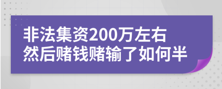 非法集资200万左右然后赌钱赌输了如何半