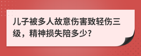 儿子被多人故意伤害致轻伤三级，精神损失陪多少?