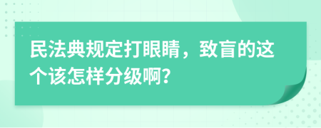 民法典规定打眼睛，致盲的这个该怎样分级啊？