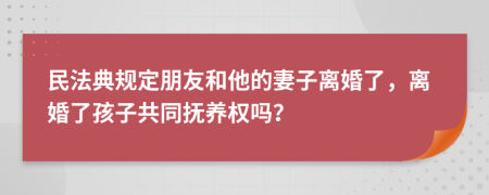 民法典规定朋友和他的妻子离婚了，离婚了孩子共同抚养权吗？