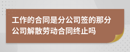 工作的合同是分公司签的那分公司解散劳动合同终止吗