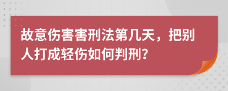 故意伤害害刑法第几天，把别人打成轻伤如何判刑？