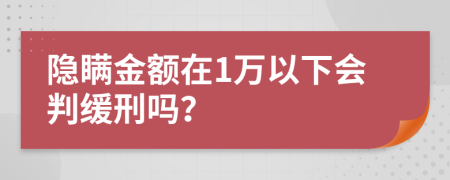 隐瞒金额在1万以下会判缓刑吗？