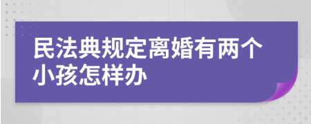 民法典规定离婚有两个小孩怎样办