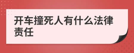 开车撞死人有什么法律责任