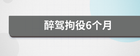 醉驾拘役6个月