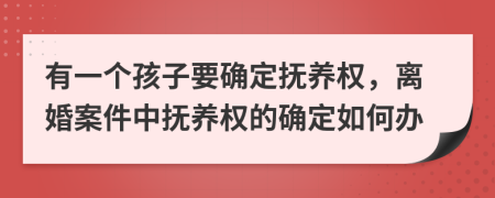 有一个孩子要确定抚养权，离婚案件中抚养权的确定如何办