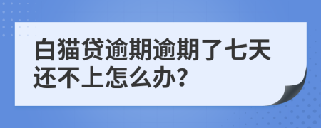 白猫贷逾期逾期了七天还不上怎么办？