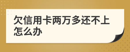 欠信用卡两万多还不上怎么办