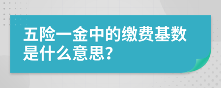 五险一金中的缴费基数是什么意思？