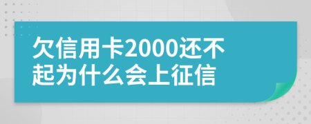 欠信用卡2000还不起为什么会上征信