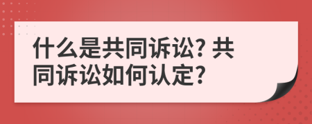 什么是共同诉讼? 共同诉讼如何认定?