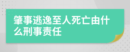 肇事逃逸至人死亡由什么刑事责任