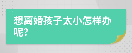 想离婚孩子太小怎样办呢？