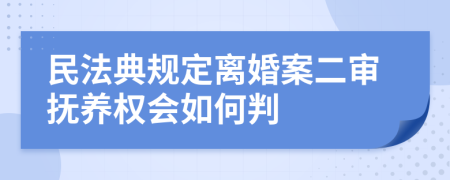 民法典规定离婚案二审抚养权会如何判