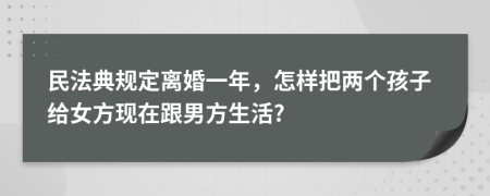 民法典规定离婚一年，怎样把两个孩子给女方现在跟男方生活?