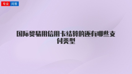 国际贸易用信用卡结算的还有哪些支付类型