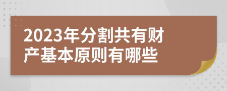 2023年分割共有财产基本原则有哪些