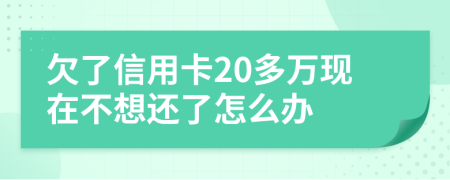 欠了信用卡20多万现在不想还了怎么办