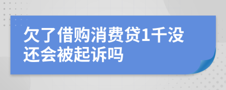 欠了借购消费贷1千没还会被起诉吗