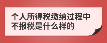 个人所得税缴纳过程中不报税是什么样的