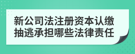 新公司法注册资本认缴抽逃承担哪些法律责任