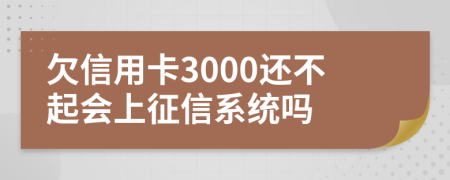 欠信用卡3000还不起会上征信系统吗