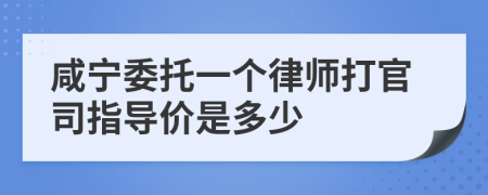 咸宁委托一个律师打官司指导价是多少