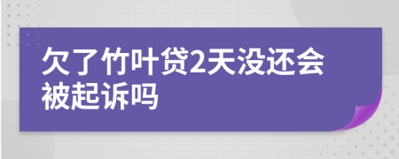 欠了竹叶贷2天没还会被起诉吗