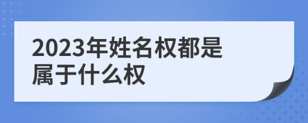 2023年姓名权都是属于什么权