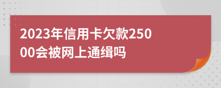 2023年信用卡欠款25000会被网上通缉吗