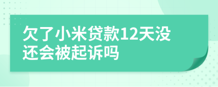 欠了小米贷款12天没还会被起诉吗